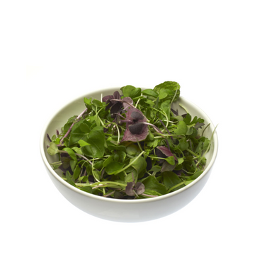 Micro Herb Salad Mix